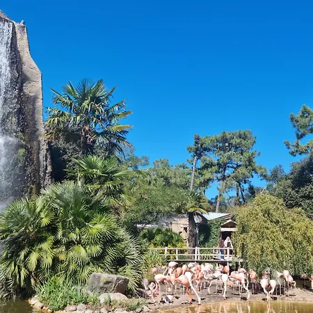 Cozy In La Cotiniere